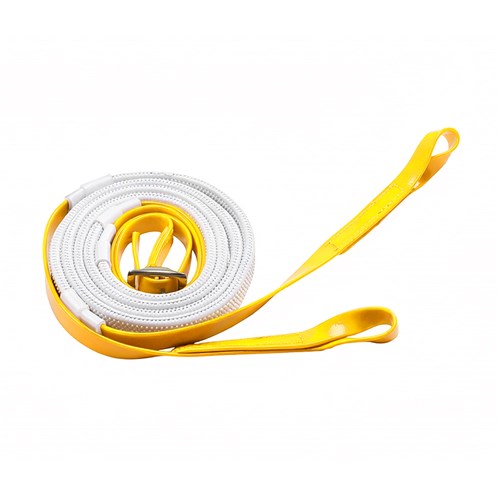 RAC2100 YLWH-01